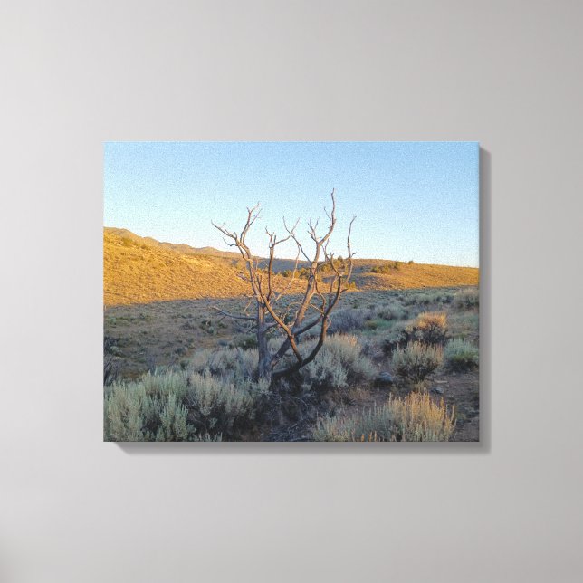Lienzo Árbol muerto en el desierto de Nevada (Anverso)
