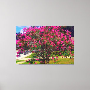Lienzo Árbol Myrtle de Crepe en Blogueo