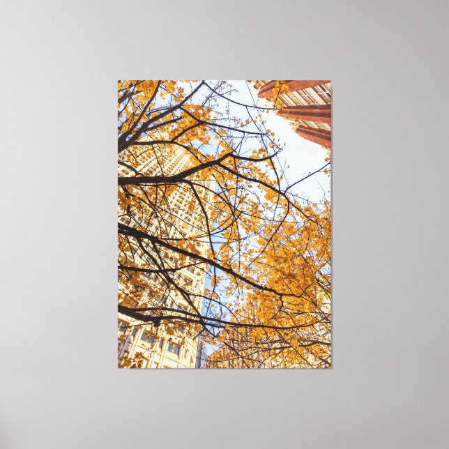 Lienzo Árbol otoñal en la ciudad (Anverso)