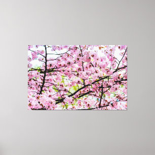 Lienzo Árbol Sakura En Bloom Rosa Completo En Primavera