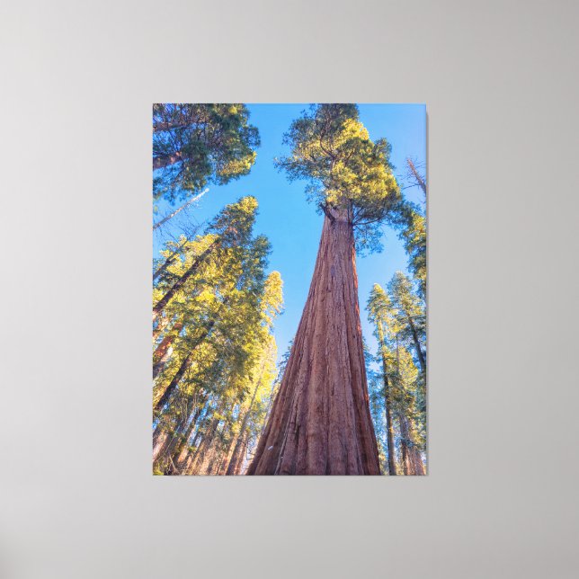 Lienzo Árbol secuencial gigante (Anverso)