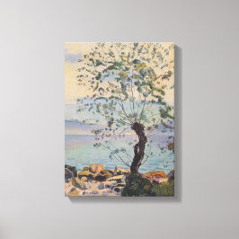 Lienzo Árbol silvestre junto al lago (paisaje suizo)