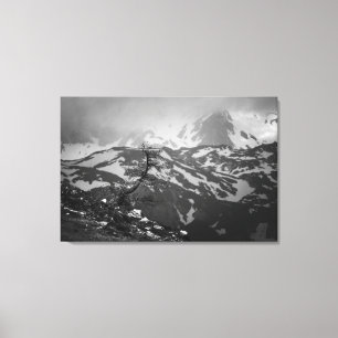 Lienzo Árbol solitario con impresionantes vistas a las mo