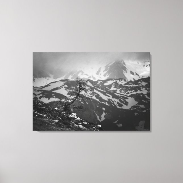 Lienzo Árbol solitario con impresionantes vistas a las mo (Anverso)