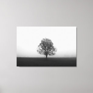 Lienzo Árbol solitario en niebla negro y blanco