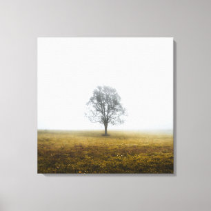 Lienzo Árbol solitario en una neblina mañana de otoño