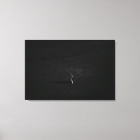 Árbol solitario minimalista en blanco y negro