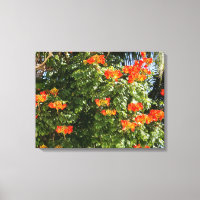 Árbol tropical | Flores Naranjas