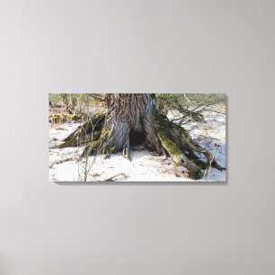 Lienzo Árbol viejo en la orilla del río, Vida de playa