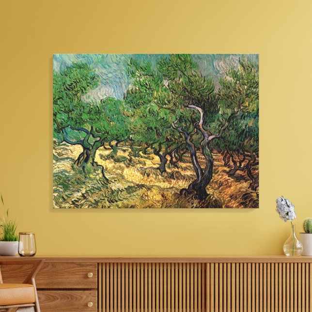 Lienzo Arboleda de olivos de Vincent van Gogh (Insitu (Sala de estar))