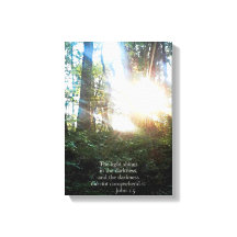 Árboles Biblia cristiana contra escritura creacion