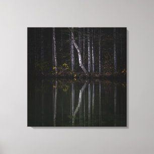 Lienzo Árboles blancos reflejando en el lago