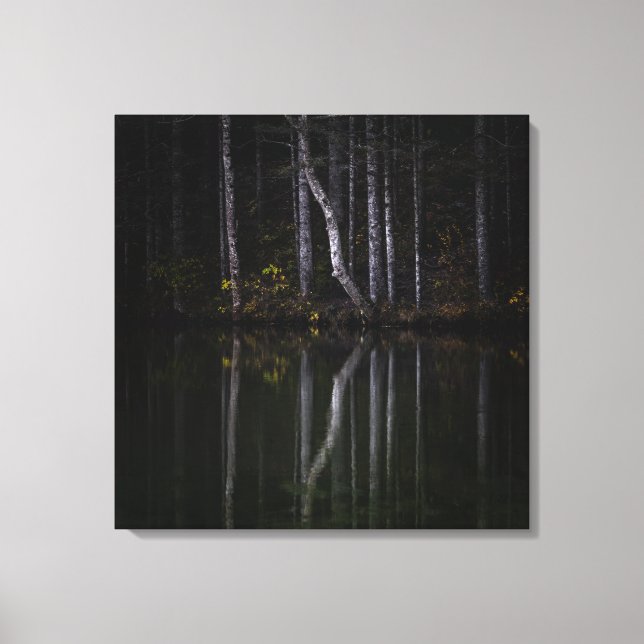 Lienzo Árboles blancos reflejando en el lago (Anverso)