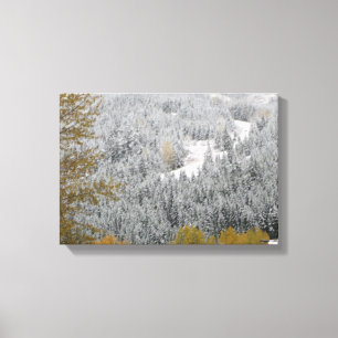 Lienzo Árboles cubiertos de nieve en Whistler, Columbia B