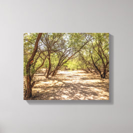 Lienzo Árboles de 4745 sombras en el desierto