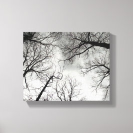 Lienzo Árboles de invierno cielo nublado