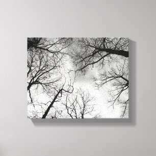 Lienzo Árboles de invierno cielo nublado