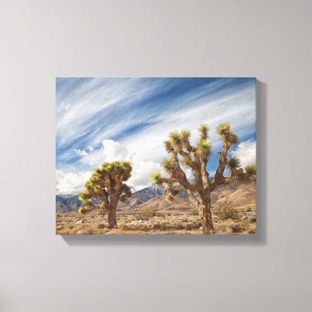 Lienzo Árboles de Joshua en el desierto (Anverso)