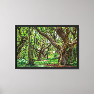 Lienzo Árboles de la selva tropical en Maui