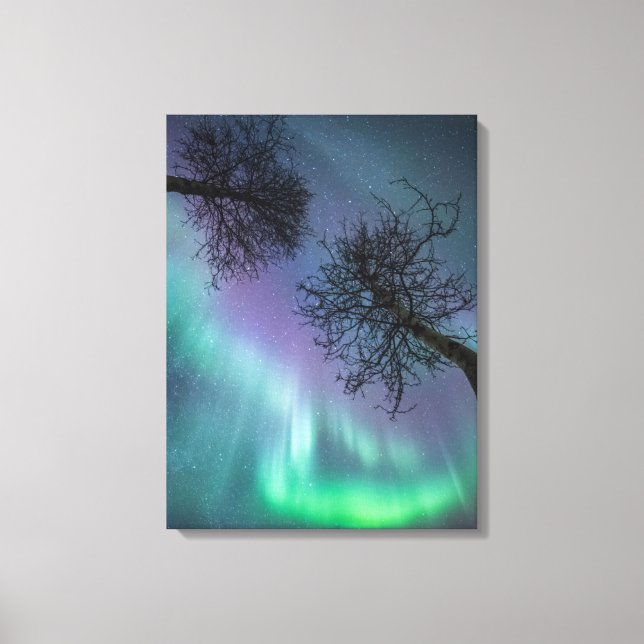 Lienzo Árboles de luces del norte Noruega (Anverso)