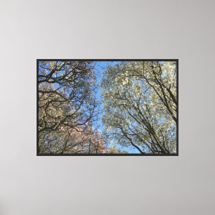Lienzo Árboles de magnolia, ramas y flores