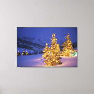 Lienzo Árboles de navidad, Park City, montañas de Wastc
