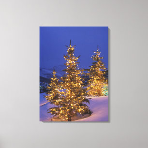 Lienzo Árboles de navidad, Park City, montañas de Wastc