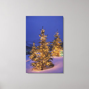 Lienzo Árboles de navidad, Park City, montañas de Wastc