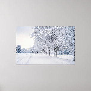 Lienzo Árboles de nieve en invierno