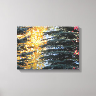 Lienzo Árboles de otoño en Whistler, Columbia Británica