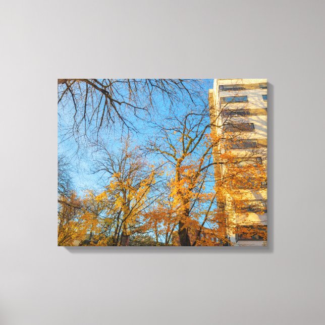 Lienzo Árboles de otoño y fachada de construcción (Anverso)