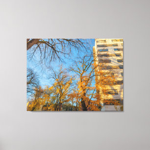 Lienzo Árboles de otoño y fachada de edificio