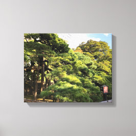 Lienzo Árboles de pino de 300 años