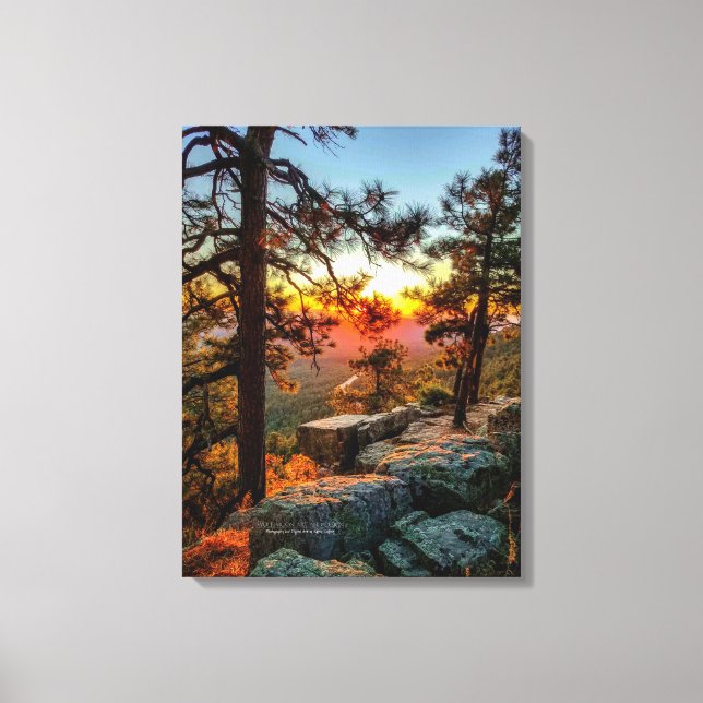 Lienzo Árboles de pino Sunset Mogollon Rim Arizona 18x24 (Anverso)