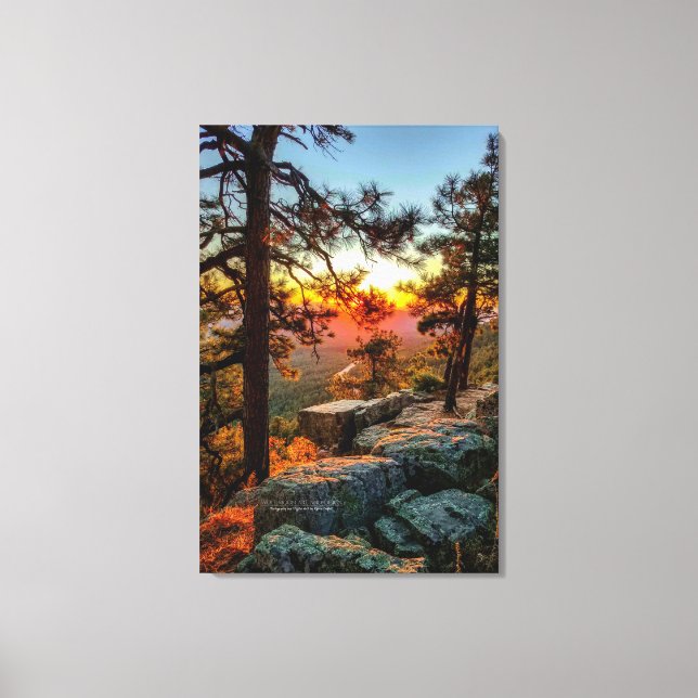 Lienzo Árboles de pino Sunset Mogollon Rim Arizona 24x36 (Anverso)