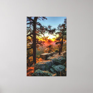 Lienzo Árboles de pino Sunset Mogollon Rim Arizona 40x60
