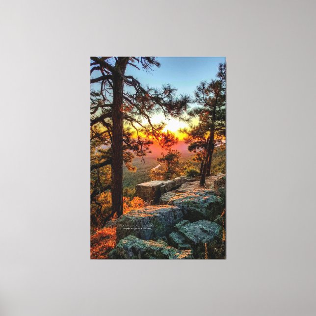 Lienzo Árboles de pino Sunset Mogollon Rim Arizona 40x60 (Anverso)