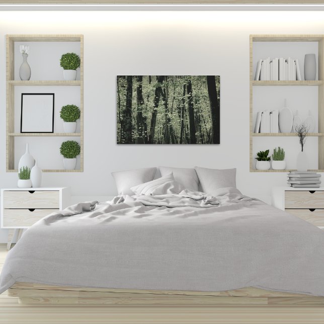 Lienzo Árboles de primavera (Subido por el creador)