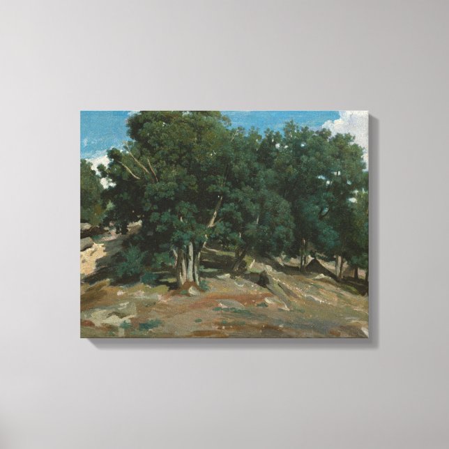 Lienzo Árboles de roble Fontainebleau (Anverso)