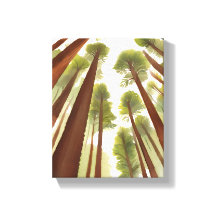 Árboles de secuoya | Acuarela del Parque Nacional 