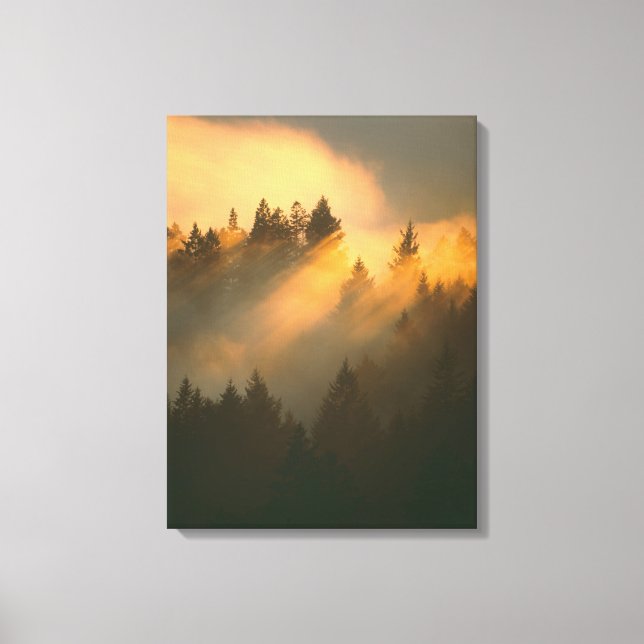 Lienzo Árboles de secuoya en niebla costera, Condado de M (Anverso)