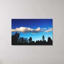 Lienzo Árboles de silueta al atardecer
