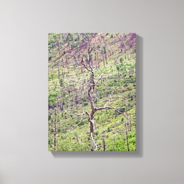 Lienzo árboles de vida y muerte en el valle (Anverso)