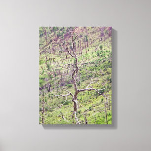 Lienzo árboles de vida y muerte en el valle