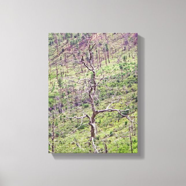 Lienzo árboles de vida y muerte en el valle (Anverso)