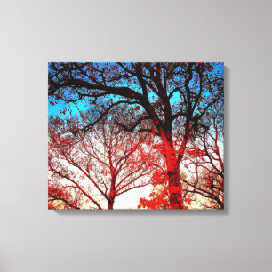 Lienzo Árboles en blanco y negro en foto de invierno