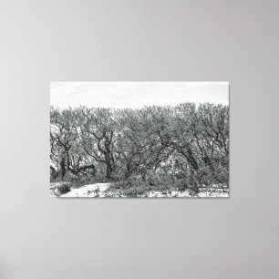 Lienzo Árboles en dunas de viento - negro y blanco
