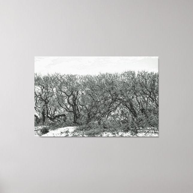 Lienzo Árboles en dunas de viento - negro y blanco (Anverso)