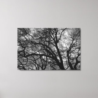 Lienzo Árboles en invierno
