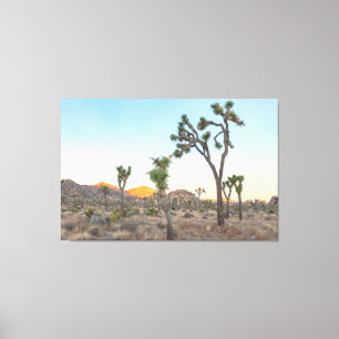 Lienzo Árboles Joshua al amanecer